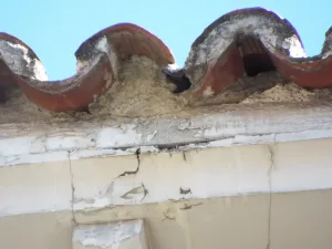 Canal rota en borde de alero de cubierta de teja árabe