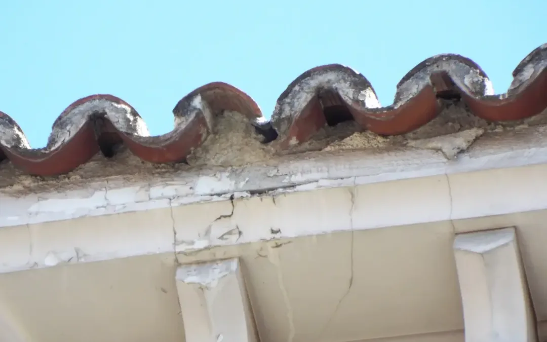Deterioro de los aleros