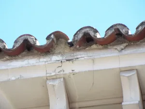 Alero de teja curva con bandeja de madera deteriorado