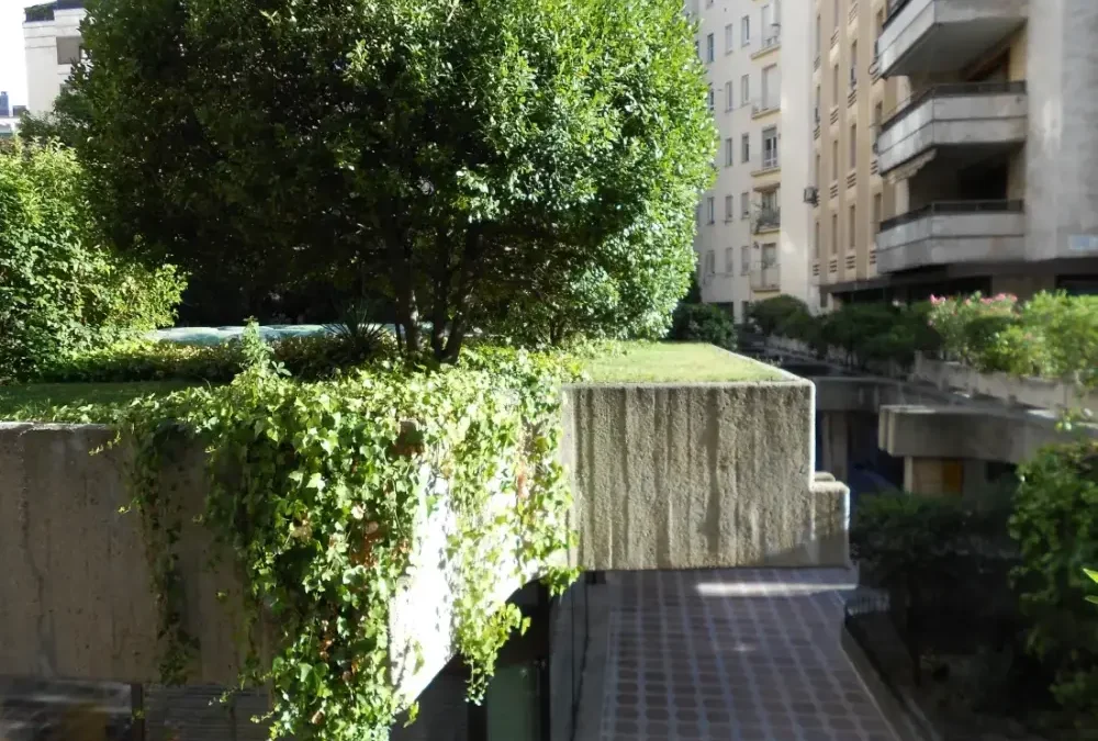 Ciclo de vida de las cubiertas verdes