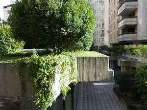 Cubierta ecológica o cubierta verde con plantas de gran porte